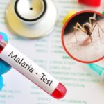 Inicio 16 Día de la Malaria en las Américas: OPS pide acelerar la eliminación de la enfermedad para 2030