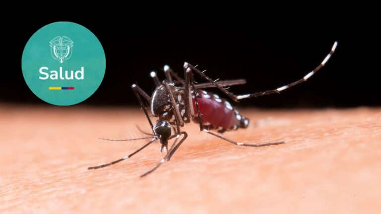 Dosis de refuerzo de la vacuna contra fiebre amarilla en Colombia a quién aplica y qué exige la Emergencia Sanitaria por el brote