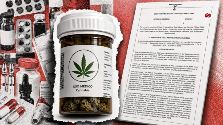 Giro clave Gobierno abriría por fases el mercado de flor de cannabis medicinal