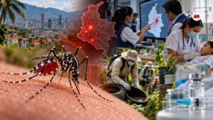 Dengue en Colombia sigue en aumento 193 municipios están en brote y Minsalud e INS refuerzan medidas de control