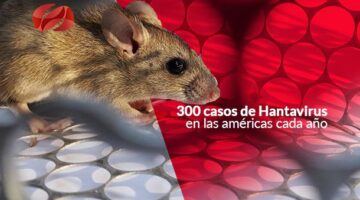 300 casos de Hantavirus en las américas cada año