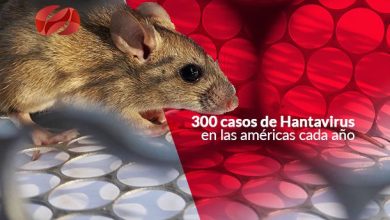 300 casos de Hantavirus en las américas cada año