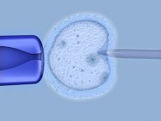 EPS no están obligadas a practicar fecundación in vitro: Corte Constitucional
