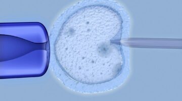 EPS no están obligadas a practicar fecundación in vitro: Corte Constitucional