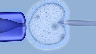 EPS no están obligadas a practicar fecundación in vitro: Corte Constitucional