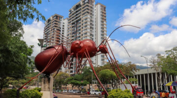 7.000 contagiados y seis muertos por dengue en Santander