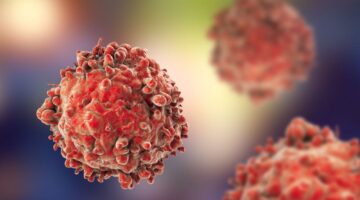Cáncer - Tome medidas desde HOY en su familia