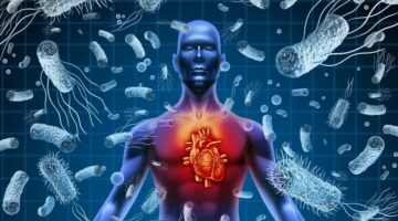 Actualizan guías de manejo para la endocarditis infecciosa