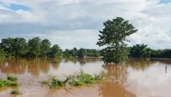 Alerta de El Niño: Previsiones de un episodio de intensidad moderada en el Pacífico tropical