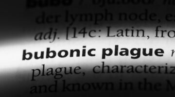 Alerta en EEUU, Confirman en Oregón caso de peste bubónica en residente por contacto con mascota infectada