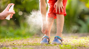 Alerta epidemiológica por dengue en Medellín: Alcaldía toma medidas