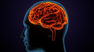 Alzheimer el biomarcador en sangre y los nuevos fármacos que revolucionan su diagnóstico y tratamiento