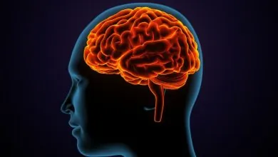 Alzheimer el biomarcador en sangre y los nuevos fármacos que revolucionan su diagnóstico y tratamiento