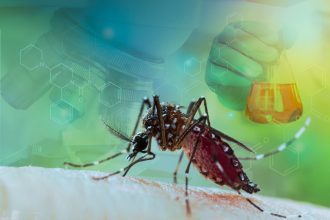 Argentina atraviesa el peor brote de dengue en la historia