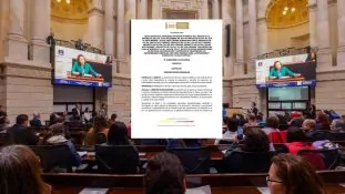 Así está estructurada la nueva Ley de Salud Mental artículos clave, obligaciones y oportunidades de transformación