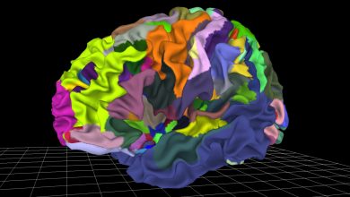 Atlas cerebral interactivo herramienta inexplorada en psiquiatría