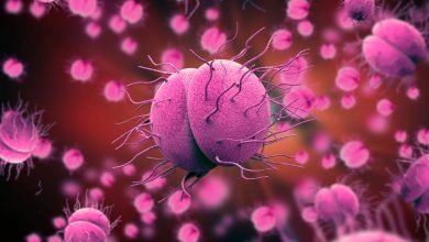 Aumento de casos de gonorrea entre la población heterosexual: un desafío creciente en España y Europa