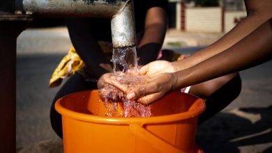 Aumento de las muertes anuales por cólera en el mundo en el 2023