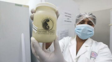 Bancos de leche humana en Perú