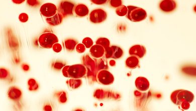 Bogotá refuerza medidas tras caso de meningococemia e insta a la calma