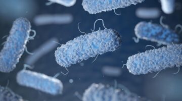 Brote de infección por Klebsiella oxytoca en el Estado de México, ya son 20 los casos reportados