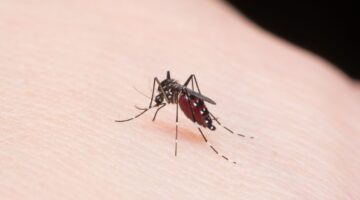 Brote de malaria en Colombia aumentaron un 81% los casos