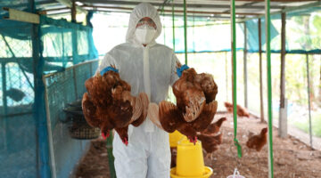 CDC Perú realiza simulacro multisectorial para evaluar la respuesta ante la influenza aviar