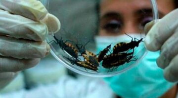 CHAGAS