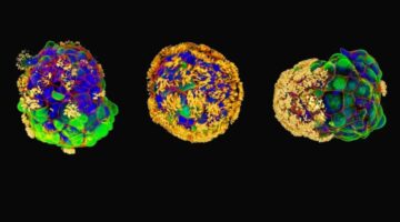 Captura de pantalla 2023-12-05 164136 (1)