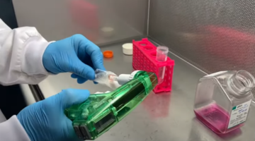 Estudio revela innovador tratamiento para las heridas crónicas con apósitos de hidrogel activados por plasma