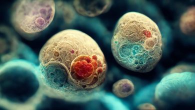 Científicos crean modelos de embriones humanos sintéticos. Avance médico revolucionario