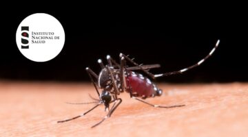 Colombia registra mortalidad semanal inusual por dengue con casos estables y concentración territorial