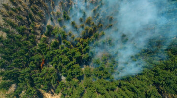 Comunicado de Solidaridad de la Asociación Colombiana de Dermatología