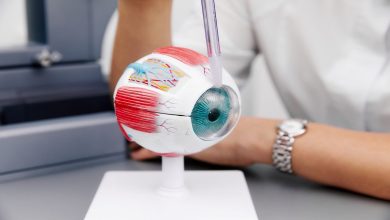 Con terapia genética científicos logran regenerar el nervio óptico