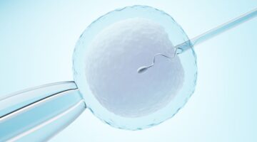 Corte Constitucional reitera llamado al Congreso para regular técnicas de reproducción asistida en Colombia