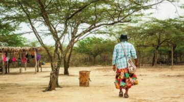 Corte aprueba Plan Provisional de Acción para la niñez Wayuu, pero mantiene el Estado de Cosas Inconstitucional