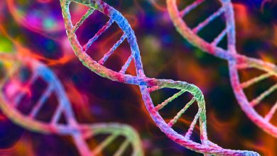 Crean modelo de IA que predice defectos congénitos causados por medicamentos