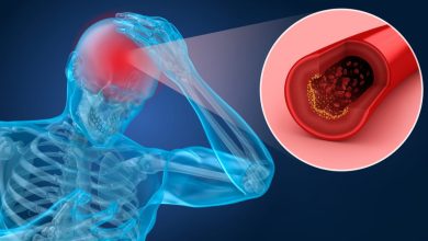 Crean nanopartículas transportadoras de fármacos que cruzan la barrera hematoencefálica