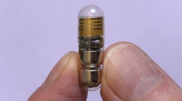 Crean píldora que monitorea constantes vitales desde el intestino