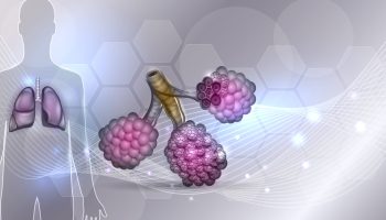 Crean robot capaz de llegar a los bronquios más pequeños de los pulmones