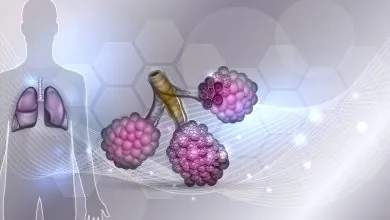 Crean robot capaz de llegar a los bronquios más pequeños de los pulmones