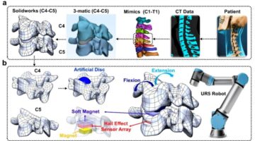 Crean robot sensorizado que simula la columna vertebral