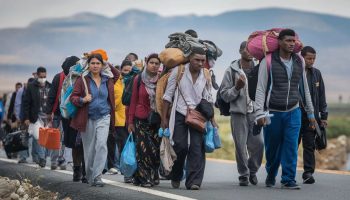 Criterios para el acompañamiento psicosocial a migrantes - Resolución 401 de 2025