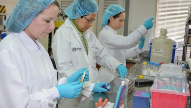 Curso virtual de terapia génica de la Universidad Javeriana, nominado a los Premios Andesco 2024