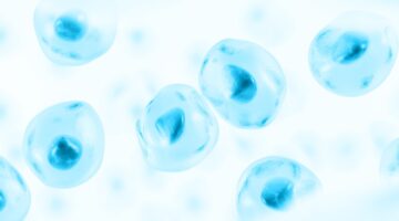 Debate ético sobre la terapia de células madre en el campo de la medicina