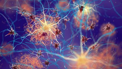 Descubren biomarcador asociado a la proteína tau y enfermedades cerebrales