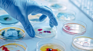 Cardiolipina: molécula para terapias inmunitarias contra el cáncer