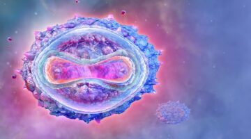 Detectan nuevas mutaciones en el virus de la viruela del mono