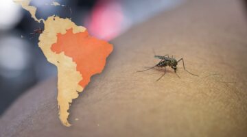 Día Internacional contra el Dengue panorama epidemiológico en las Américas y retos para la prevención en Colombia