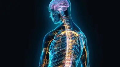 Día Mundial de la Esclerosis Múltiple avances, retos y perspectivas para el manejo integral en América